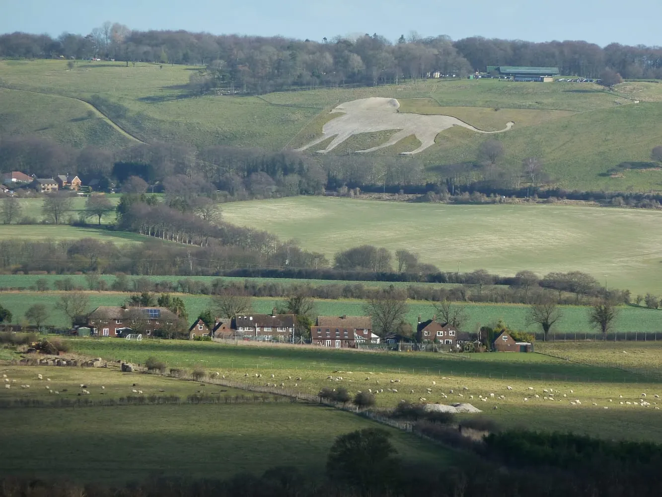Photo of Whipsnade White Lion, a hill figure near Ivinghoe in the Chilterns, Bedfordshire, eastern England.