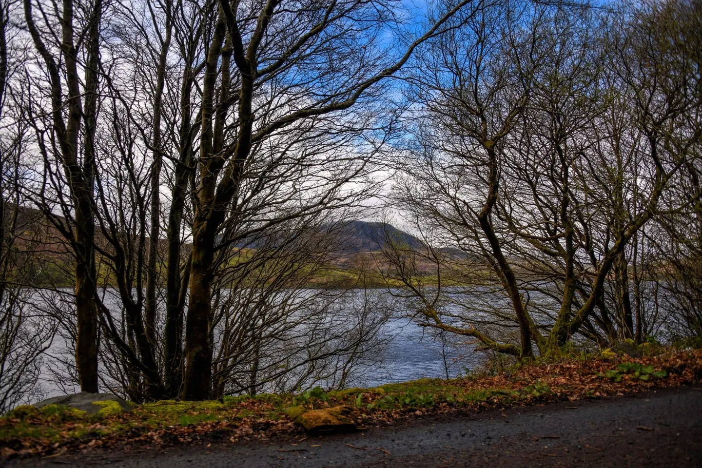Photo of Llyn Celyn, a lake near Bala in Eryri, Gwynedd, north Wales.
