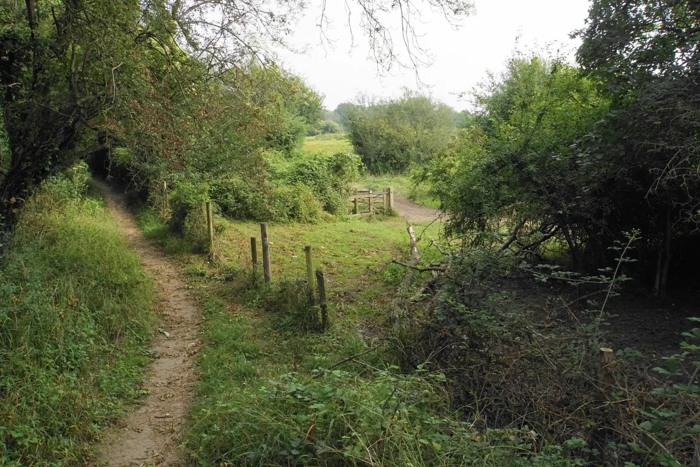 Photo of Itchen Valley Country Park, a country park near Southampton, Hampshire, south east England.