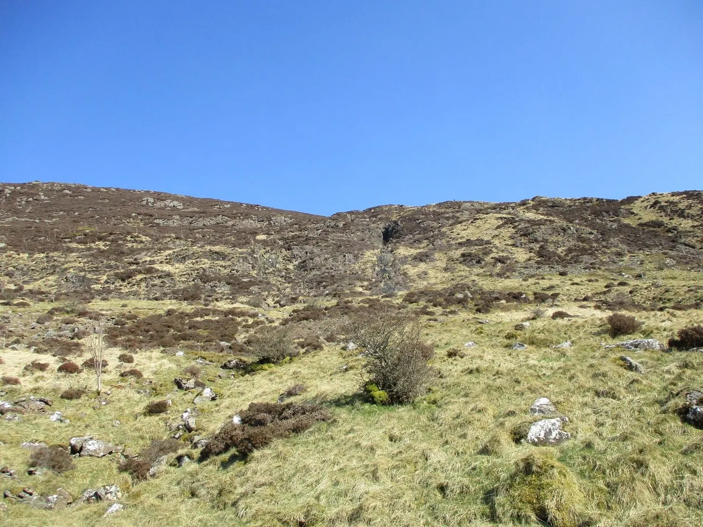 Photo: Blackcraig Hill, a 701m hill near New Cumnock, East Ayrshire, southern Scotland.