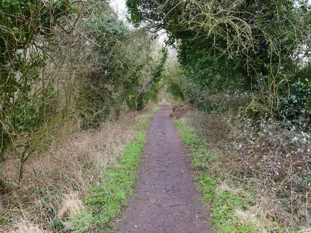 Photo along the Weavers' Way, a 61-mile long-distance path running from Cromer to Great Yarmouth, eastern England.
