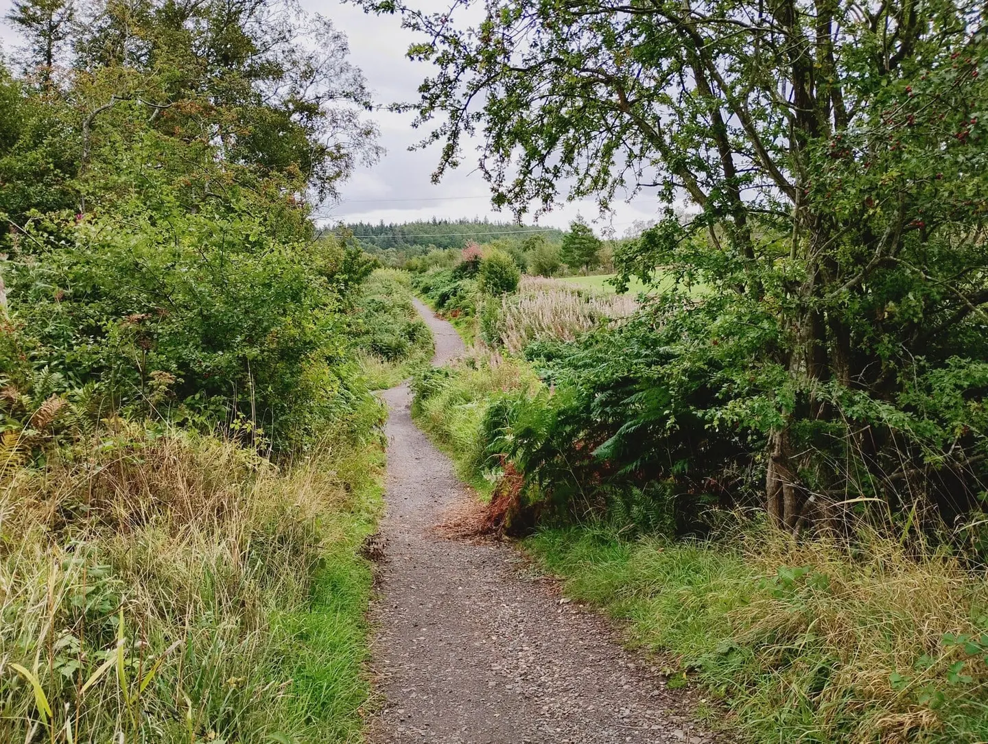 Photo of Chatelherault Country Park, a garden near Hamilton, South Lanarkshire, southern Scotland.