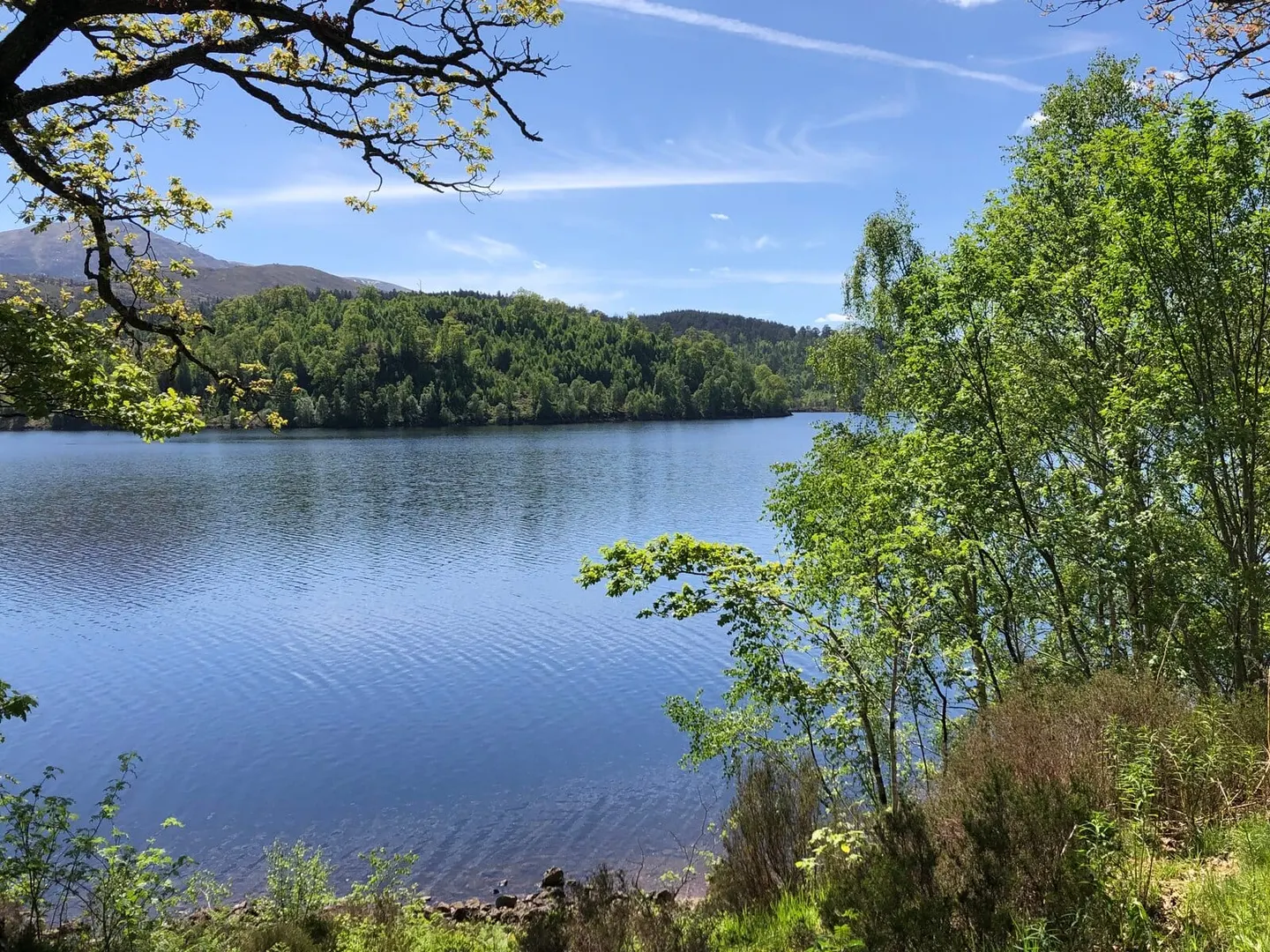 Photo of Loch Garry (Highland), a loch in Highland, the Scottish Highlands and Islands.