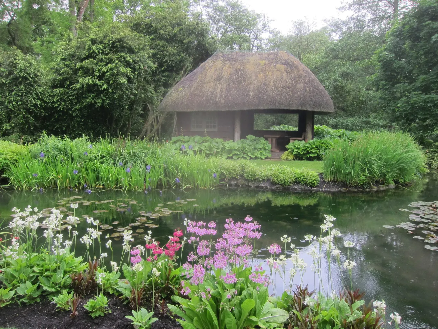 Photo of Longstock Park Water Garden, a garden in Hampshire, south east England.