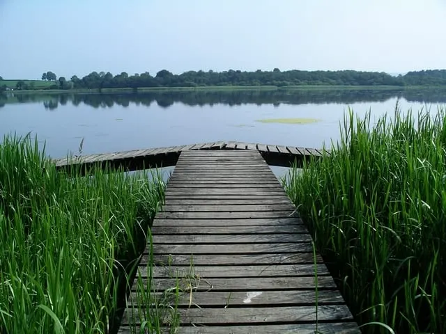 Photo of Castle Loch, a loch near Auchencairn, Dumfries and Galloway, southern Scotland.