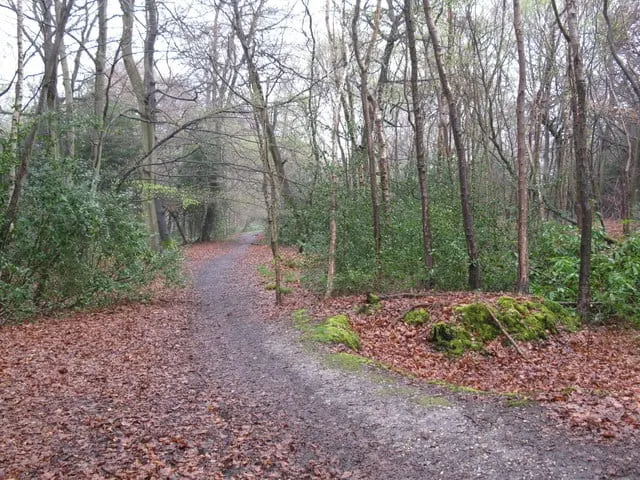 Photo: Bowsey Hill, a 142m hill near Wargrave, Berkshire, south east England.