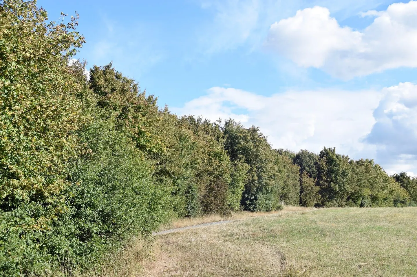 Photo of Wick Country Park, a country park near Leigh-on-Sea, Essex, eastern England.