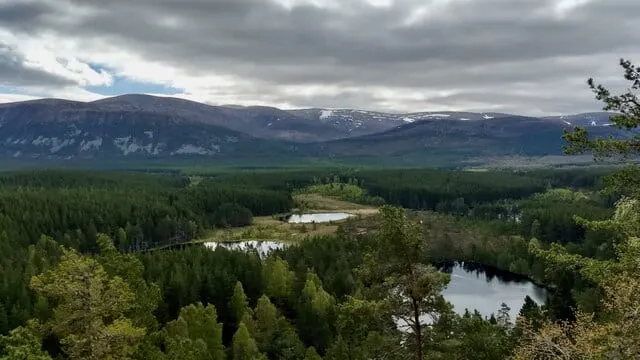 Photo of Uath Lochans, a loch near Kincraig in the Cairngorms, Highland, the Scottish Highlands and Islands.