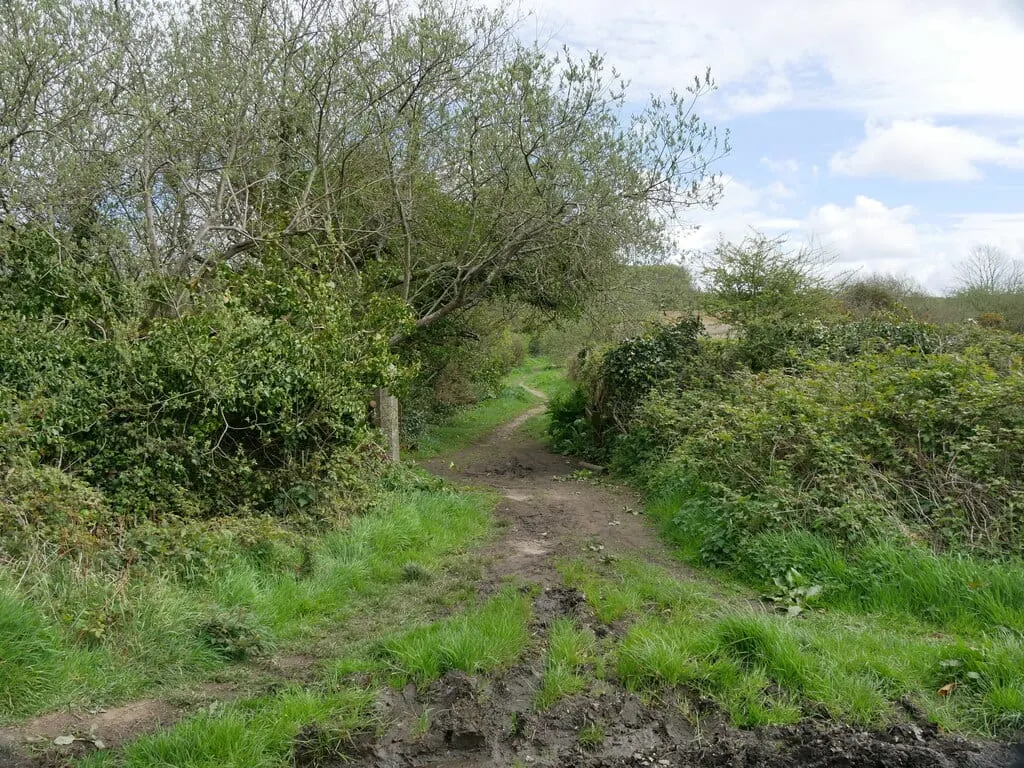 Photo of Tehidy Country Park, a country park near St Agnes, Cornwall, south west England.