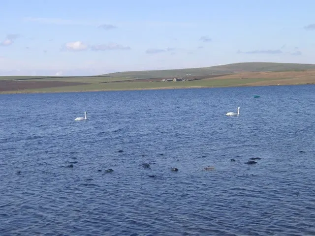 Photo of Loch of Stenness, a loch near Stromness in Hoy and West Mainland, the Orkney Islands, the Scottish Highlands and Islands.