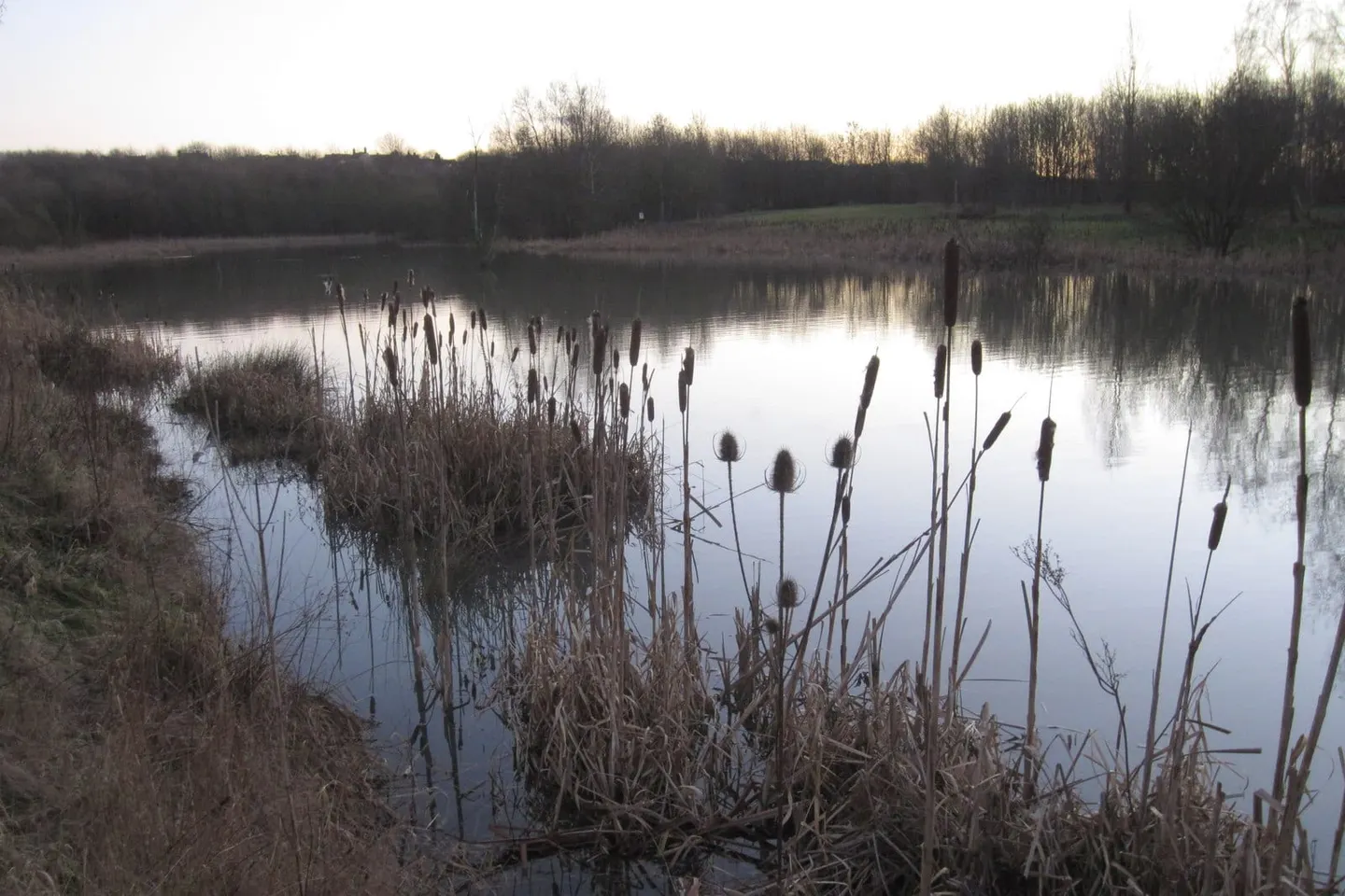 Photo of Saltersford Wood Country Park, a country park near Ashby-de-la-Zouch, Leicestershire, central England.