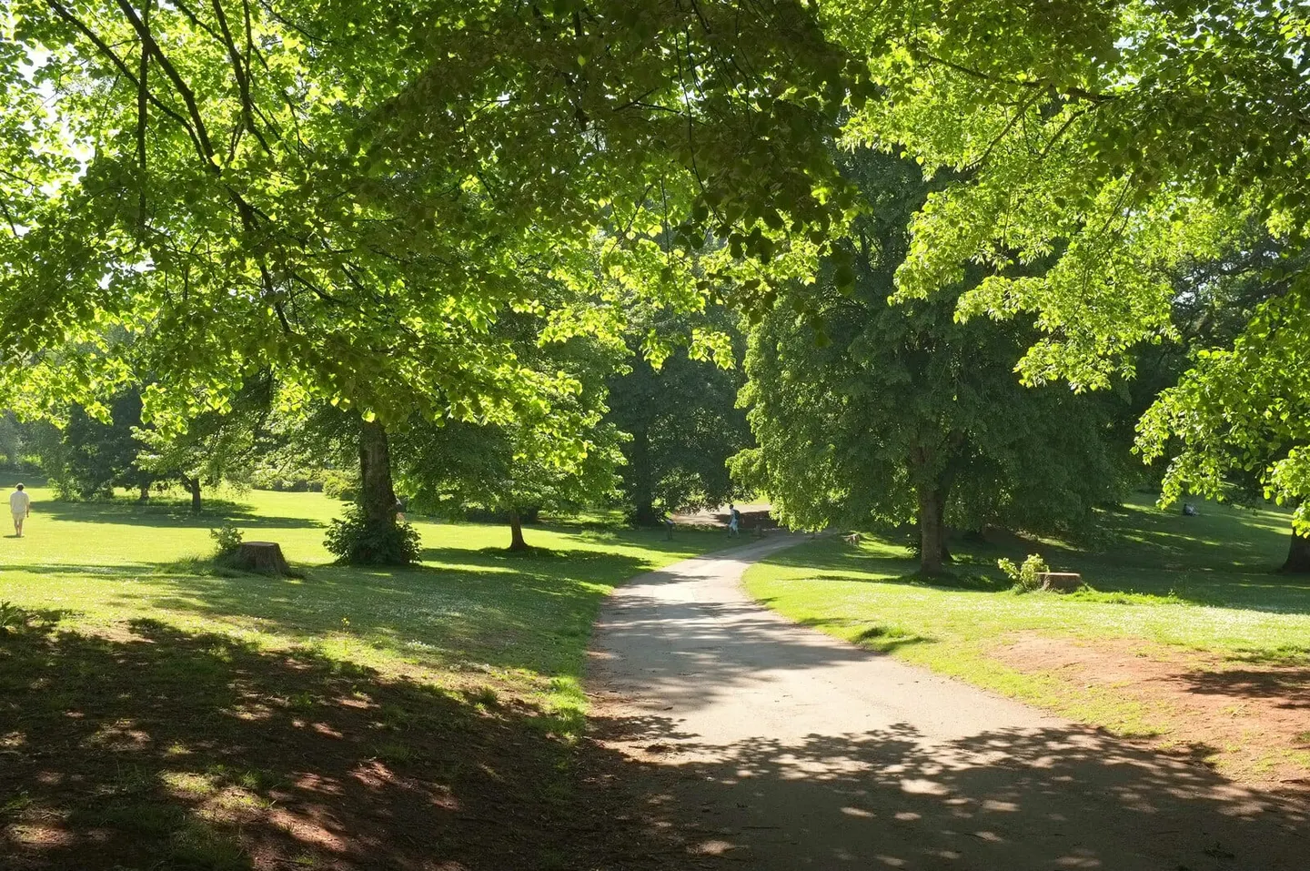 Photo of Cockington Country Park, a country park in Devon, south west England.