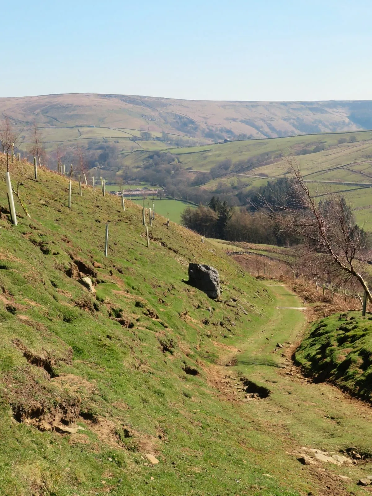 Photo along the Nidderdale Way, a 53-mile long-distance path in northern England.
