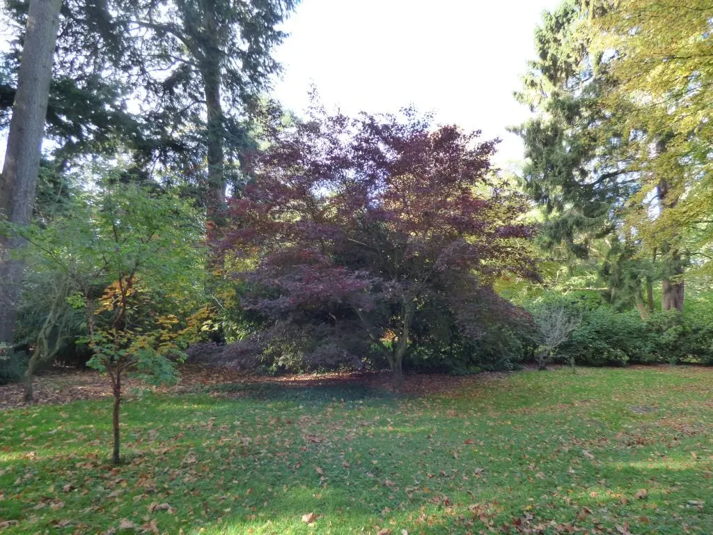 Photo of Arley Arboretum, a garden near Upper Arley, Worcestershire, central England.