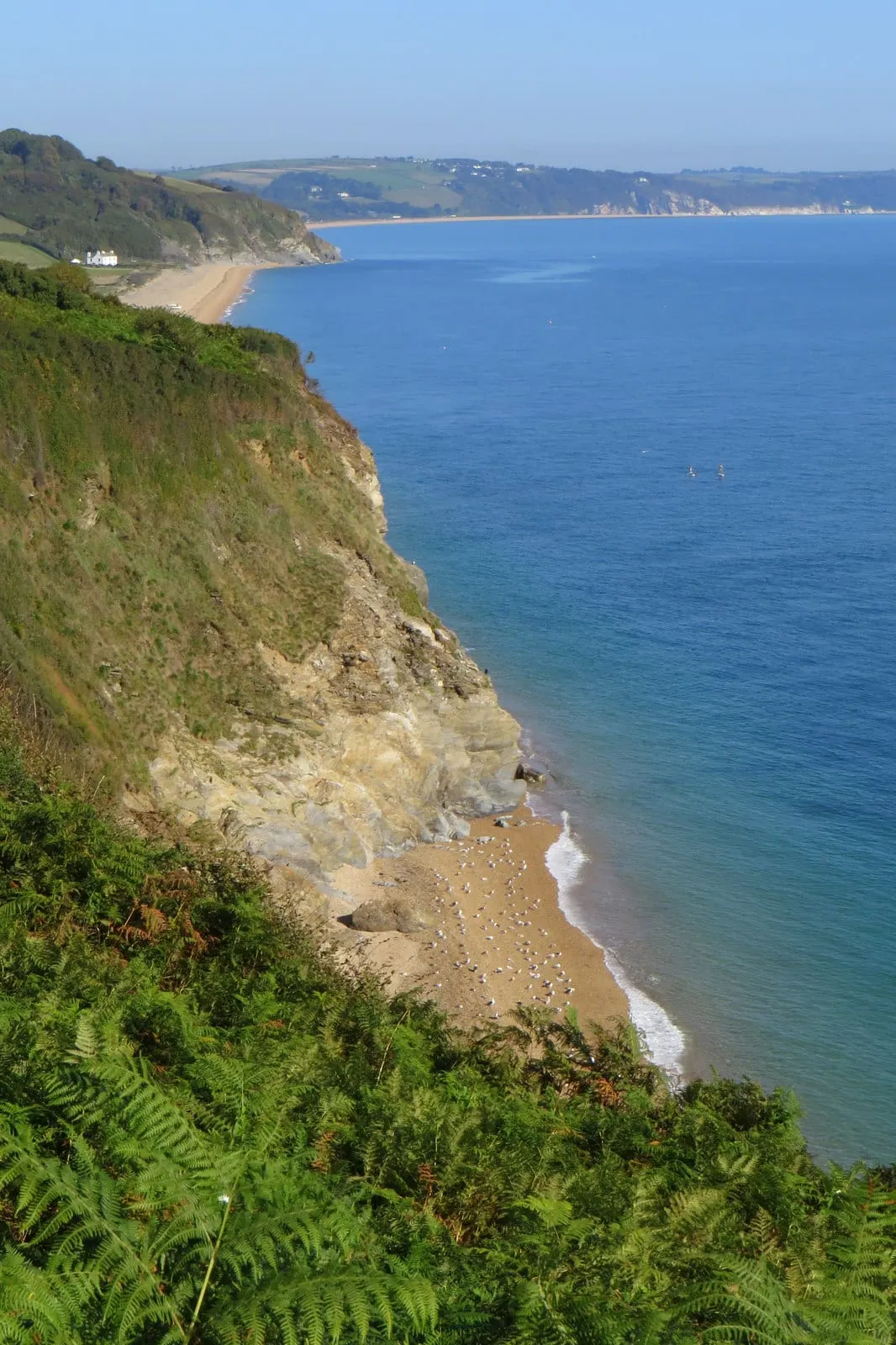 Photo of the coast at Start Bay, Devon, south west England.