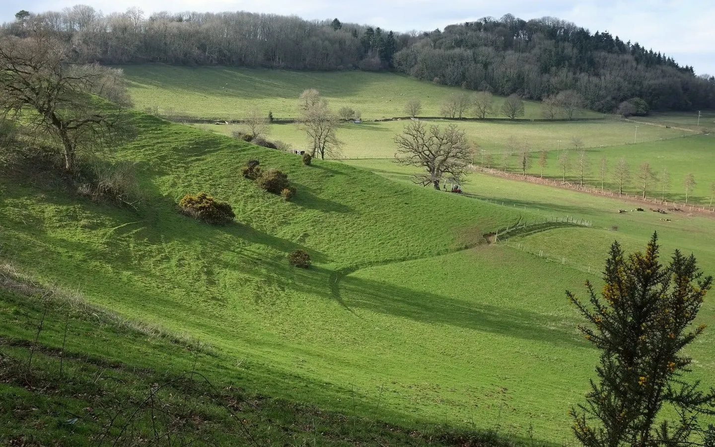 Photo of Ham Hill Country Park, a country park near Montacute, Somerset, south west England.