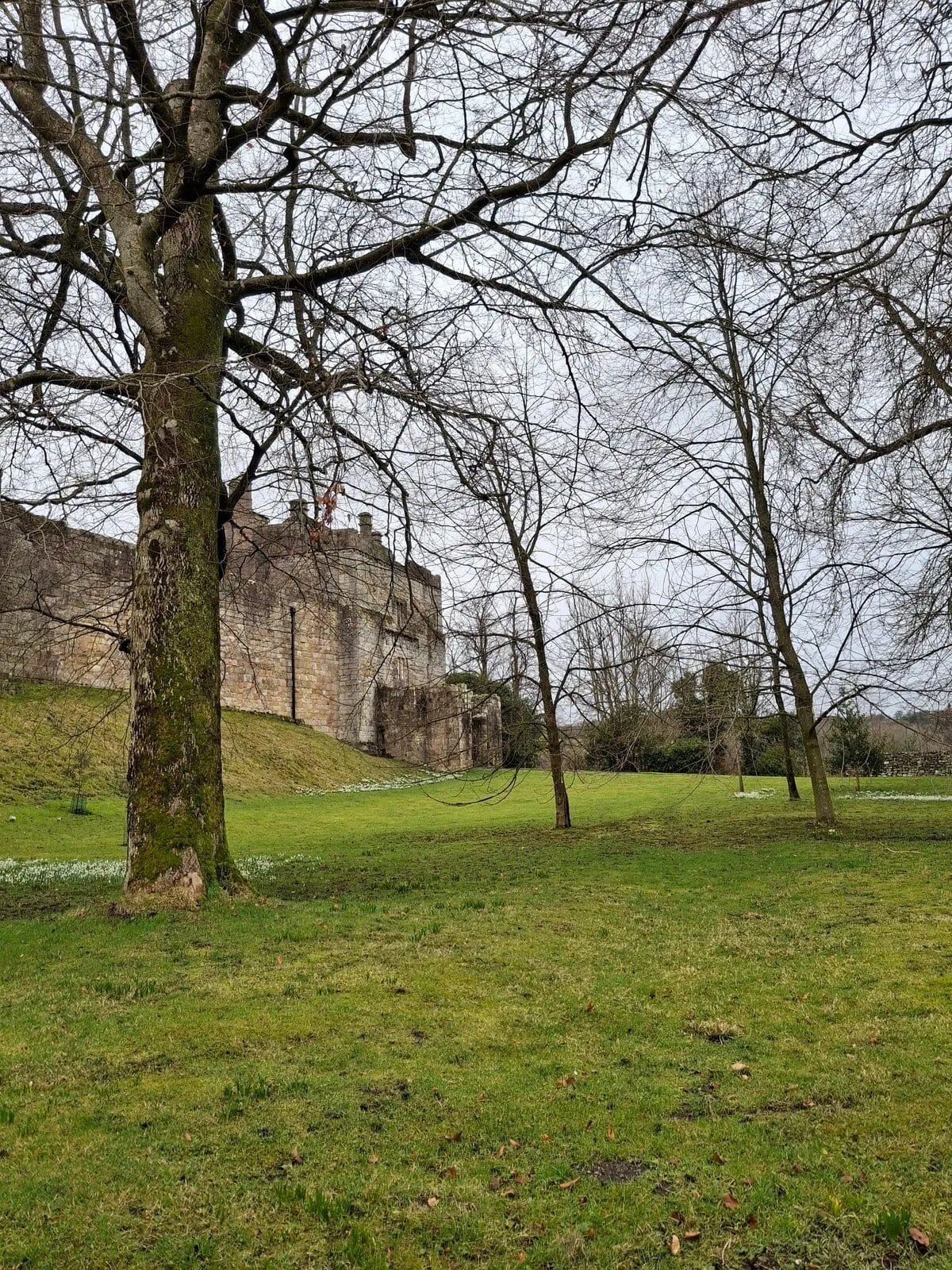 Photo of Cockermouth Castle, a ruined castle in Cumbria, north west England.