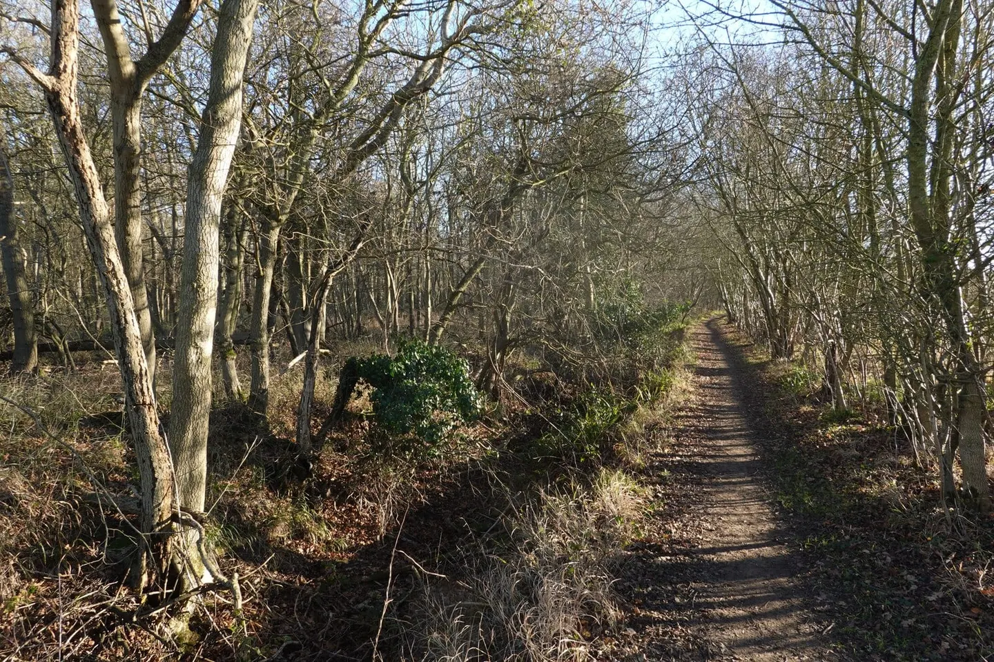 Photo along the Stour Valley Path, a 60-mile long-distance path running from Newmarket to Cattawade, eastern England.