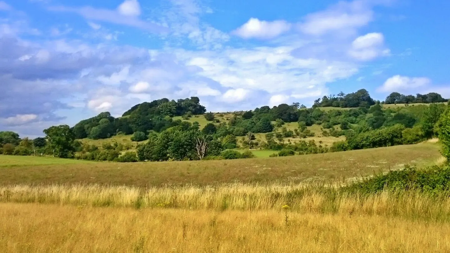 Photo of Shirburn Hill, a Site of Special Scientific Interest near Watlington in the Chilterns, Oxfordshire, south east England.