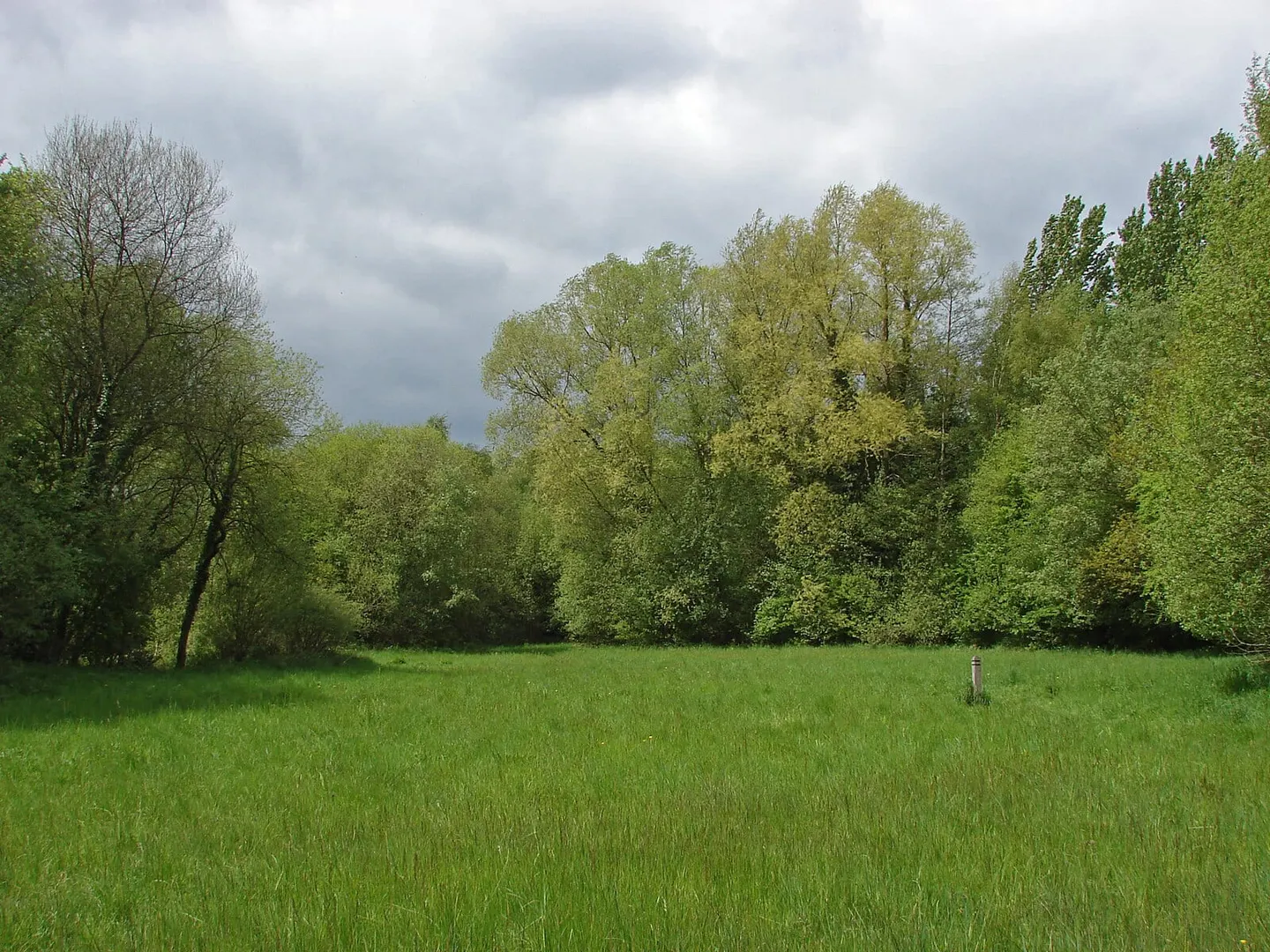 Photo of Lakeside Nature Reserve Country Park, a country park near Puttenham, Surrey, south east England.