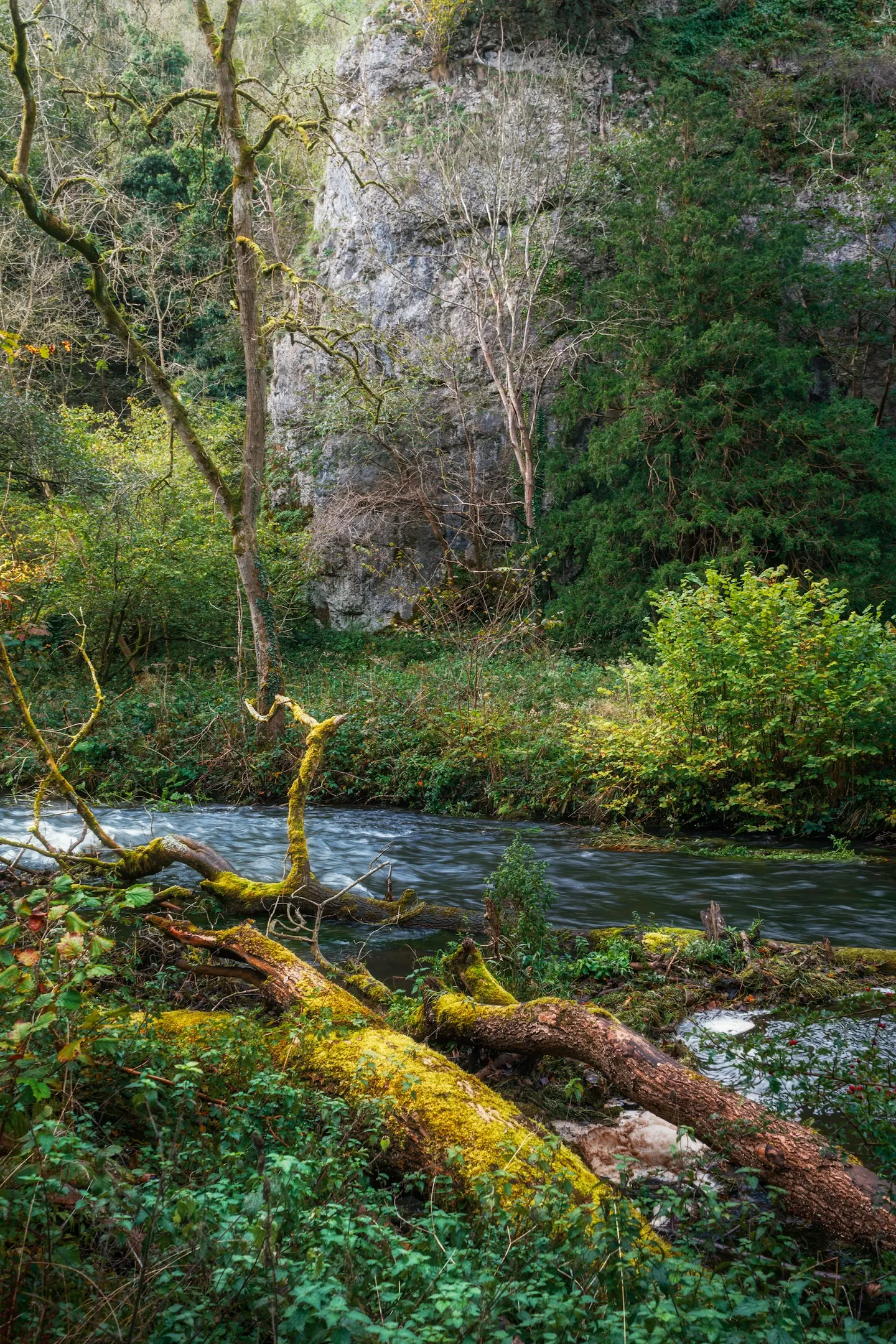 Photo of Dovedale, a gorge near Ilam in the Peak District, Staffordshire, central England.