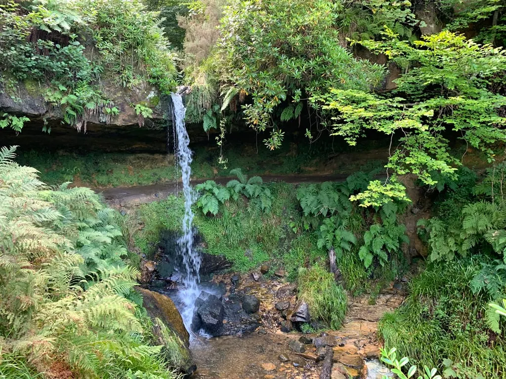 Photo of Maspie Den, a visitor attraction near Falkland, Fife, central Scotland.