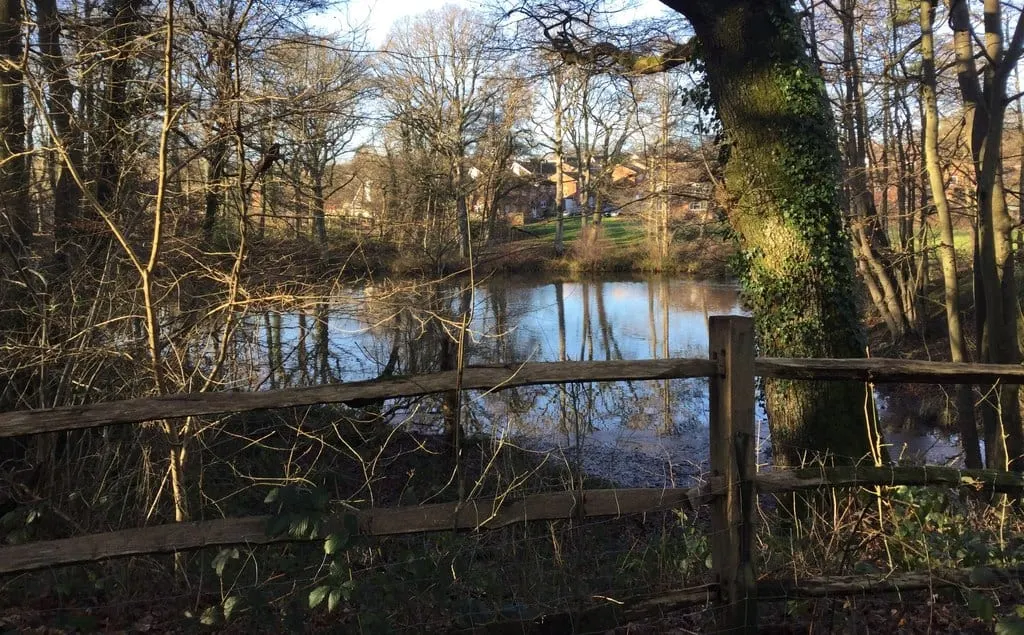 Photo of Worth Way Country Park, a country park near Turners Hill, West Sussex, south east England.