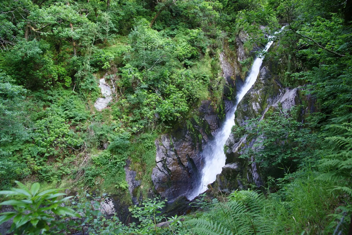 Photo of Devil's Bridge Falls, a waterfall in Ceredigion, mid Wales.