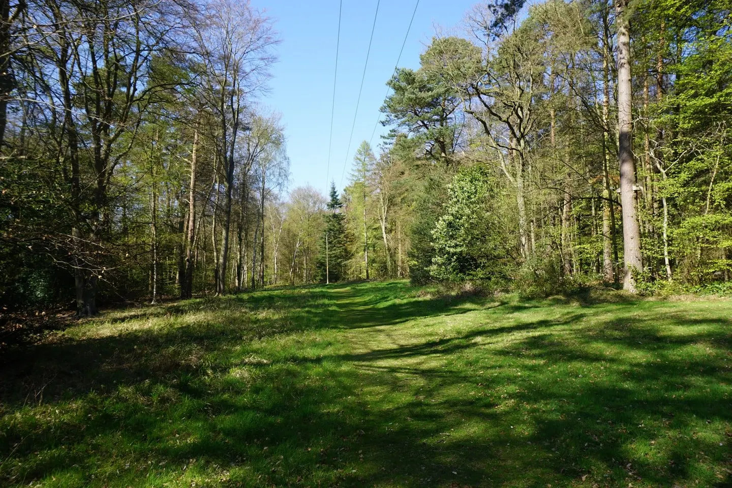 Photo of Brandon Country Park, a country park in Suffolk, eastern England.