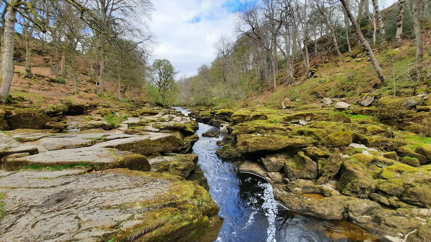 Photo of The Strid, a gorge near Appletreewick in the Yorkshire Dales, North Yorkshire, northern England.