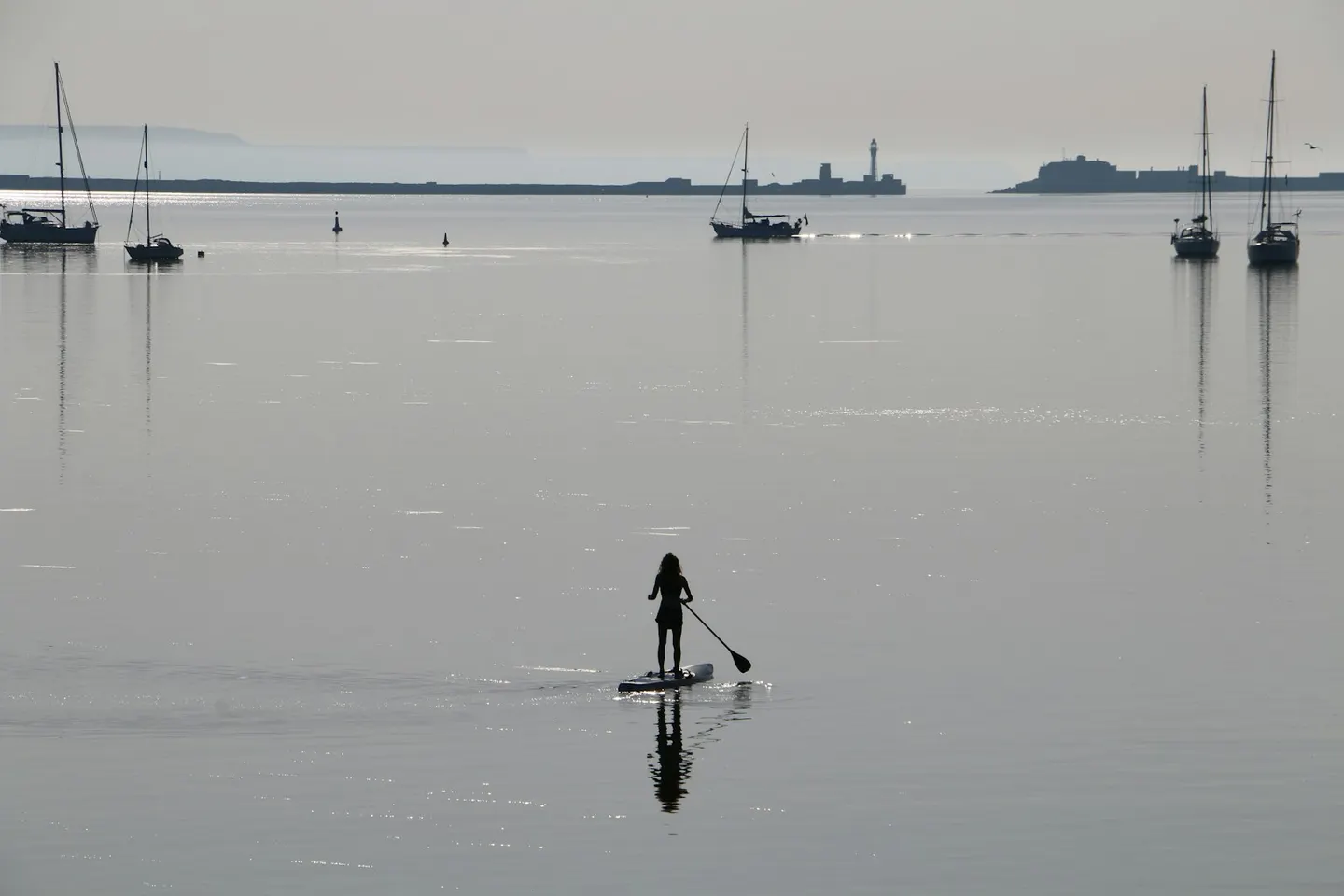 Photo of Portland Harbour Shore, a Site of Special Scientific Interest near Osmington, Dorset, south west England.
