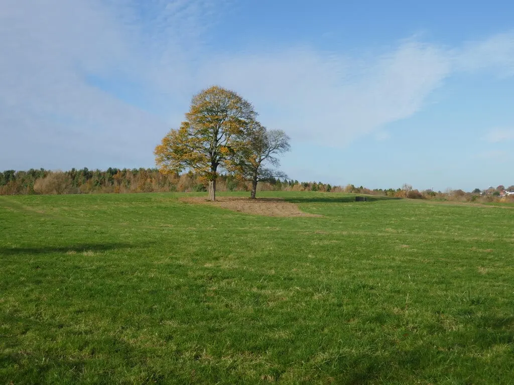 Photo of Shipley Country Park, a country park near Eastwood, Derbyshire, central England.