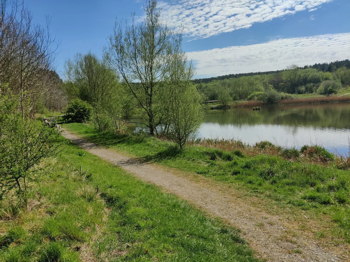 Photo of Sence Valley Country Park, a country park near Ashby-de-la-Zouch, Leicestershire, central England.