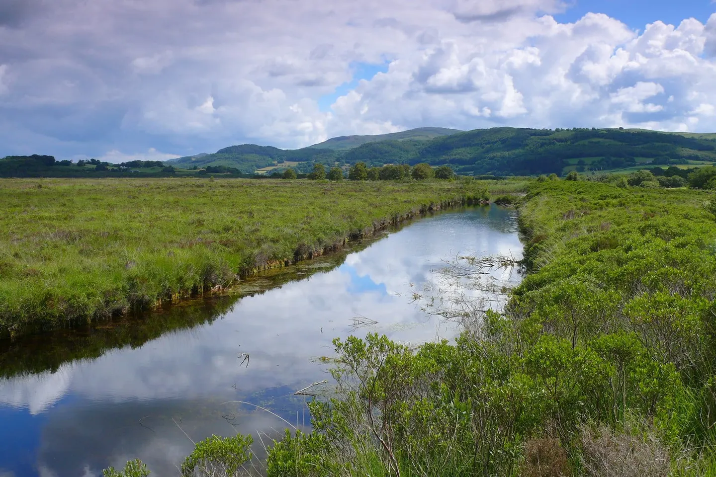 Photo of Cors Fochno (Borth Bog), a nature reserve in Ceredigion, mid Wales.