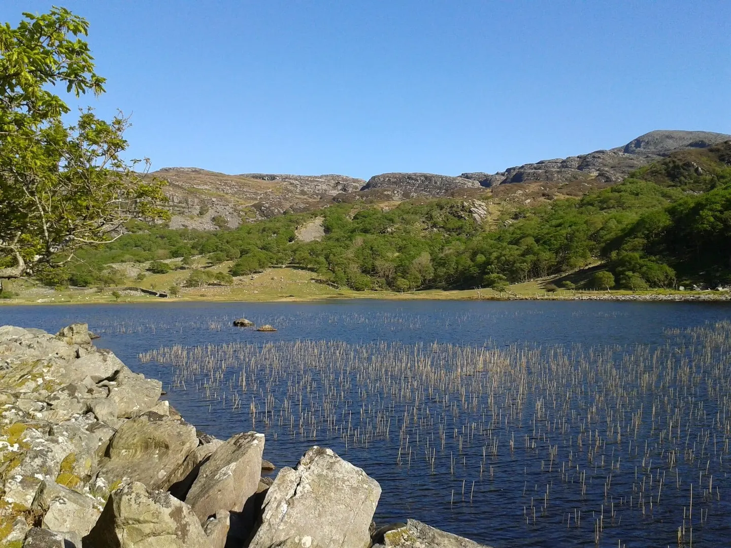 Photo of Roman Steps (Rhinogydd), a landmark near Harlech in Eryri, Gwynedd, north Wales.