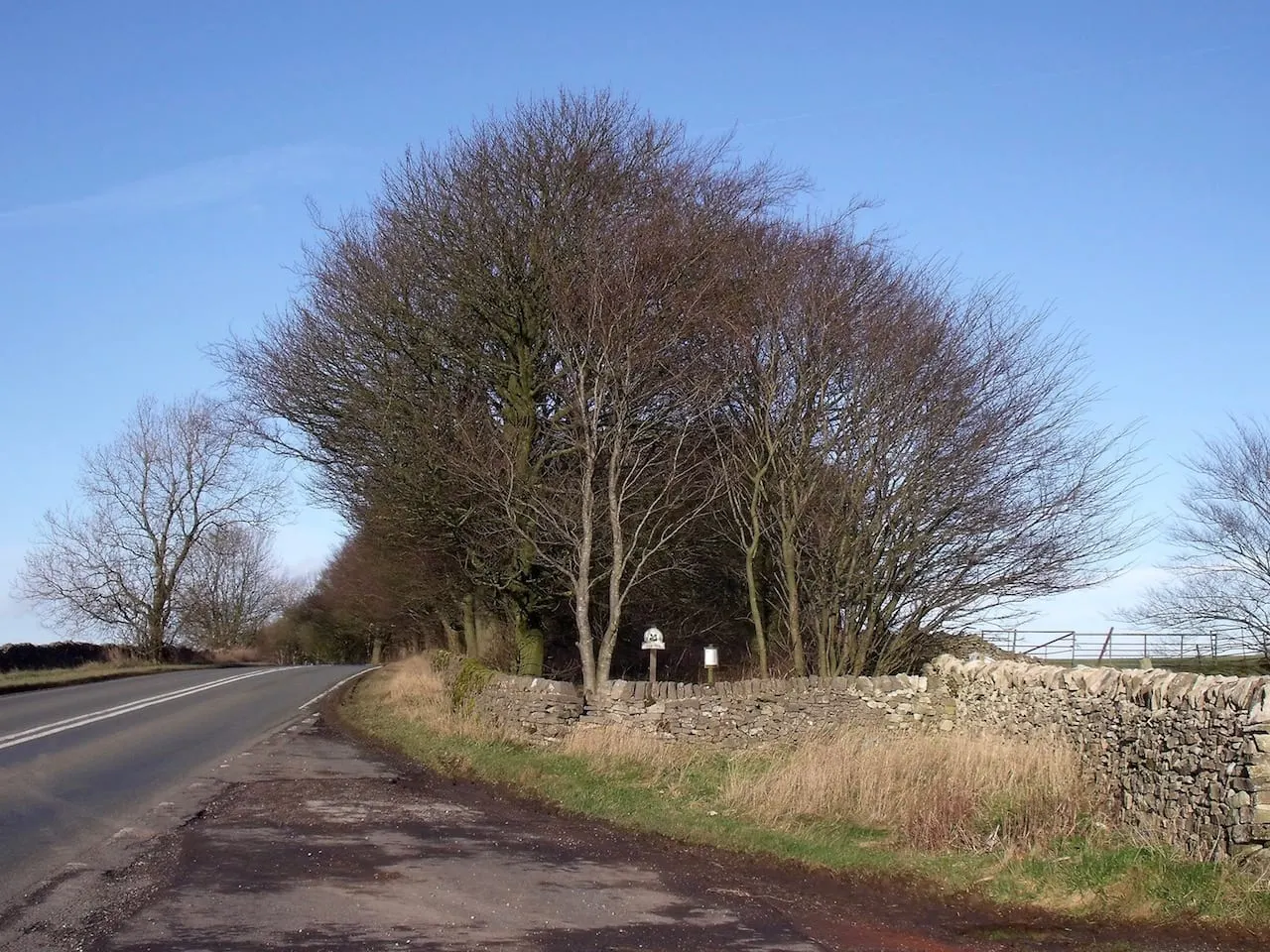 Photo of Alsop Moor Plantation, a nature reserve near Parwich in the Peak District, Derbyshire, central England.
