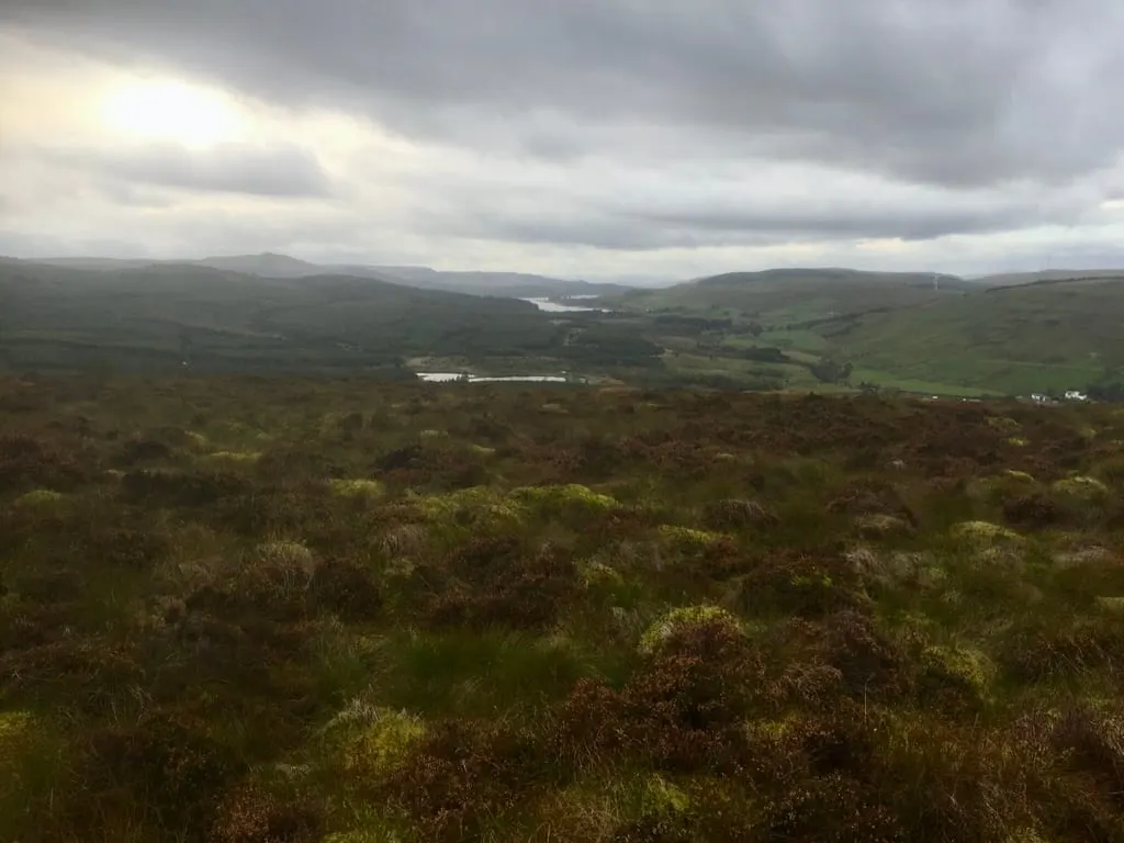Photo: Darrach Hill, a 357m hill near Stirling, Falkirk, central Scotland.