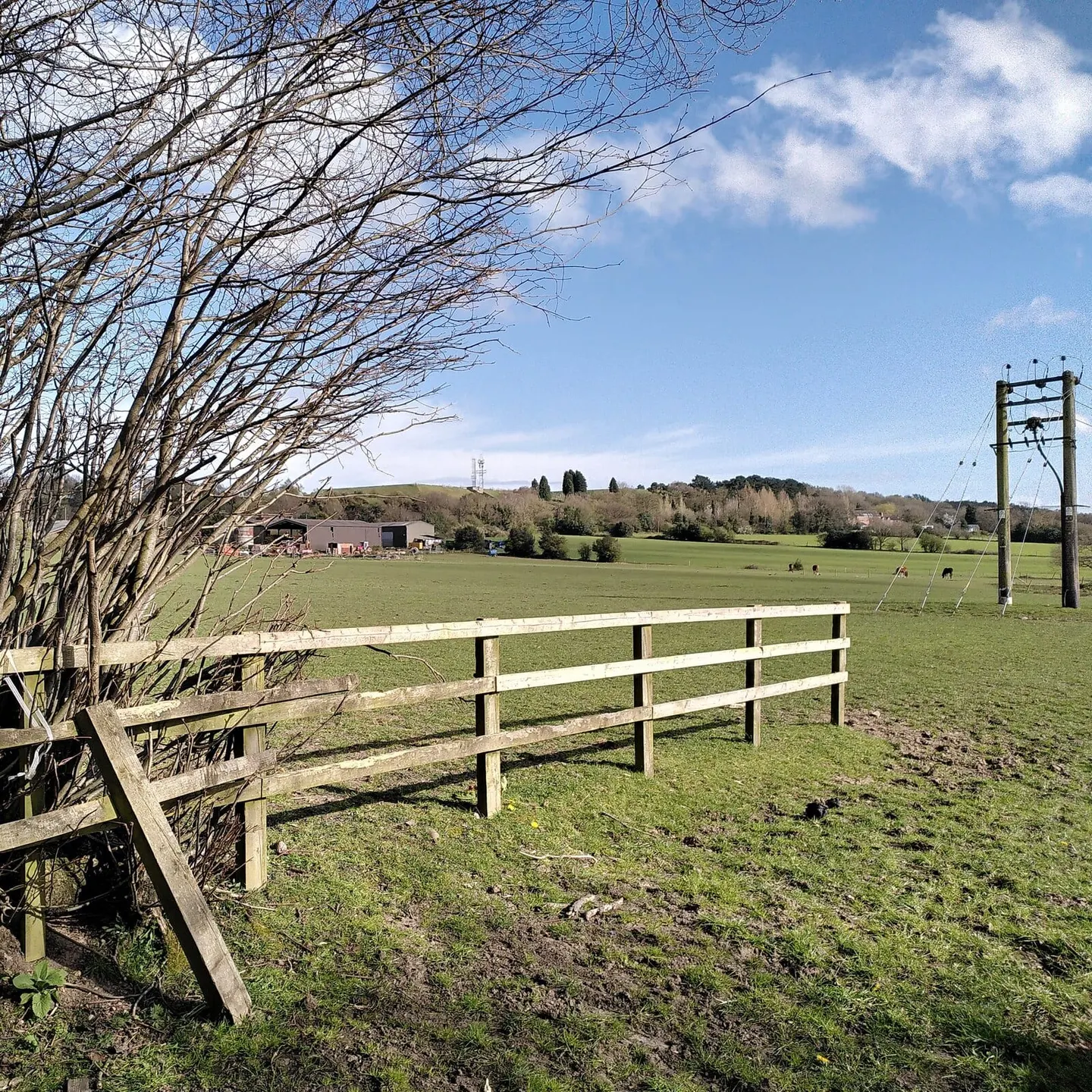 Photo: Barr Beacon, a 227m hill near Birmingham, the West Midlands, central England.