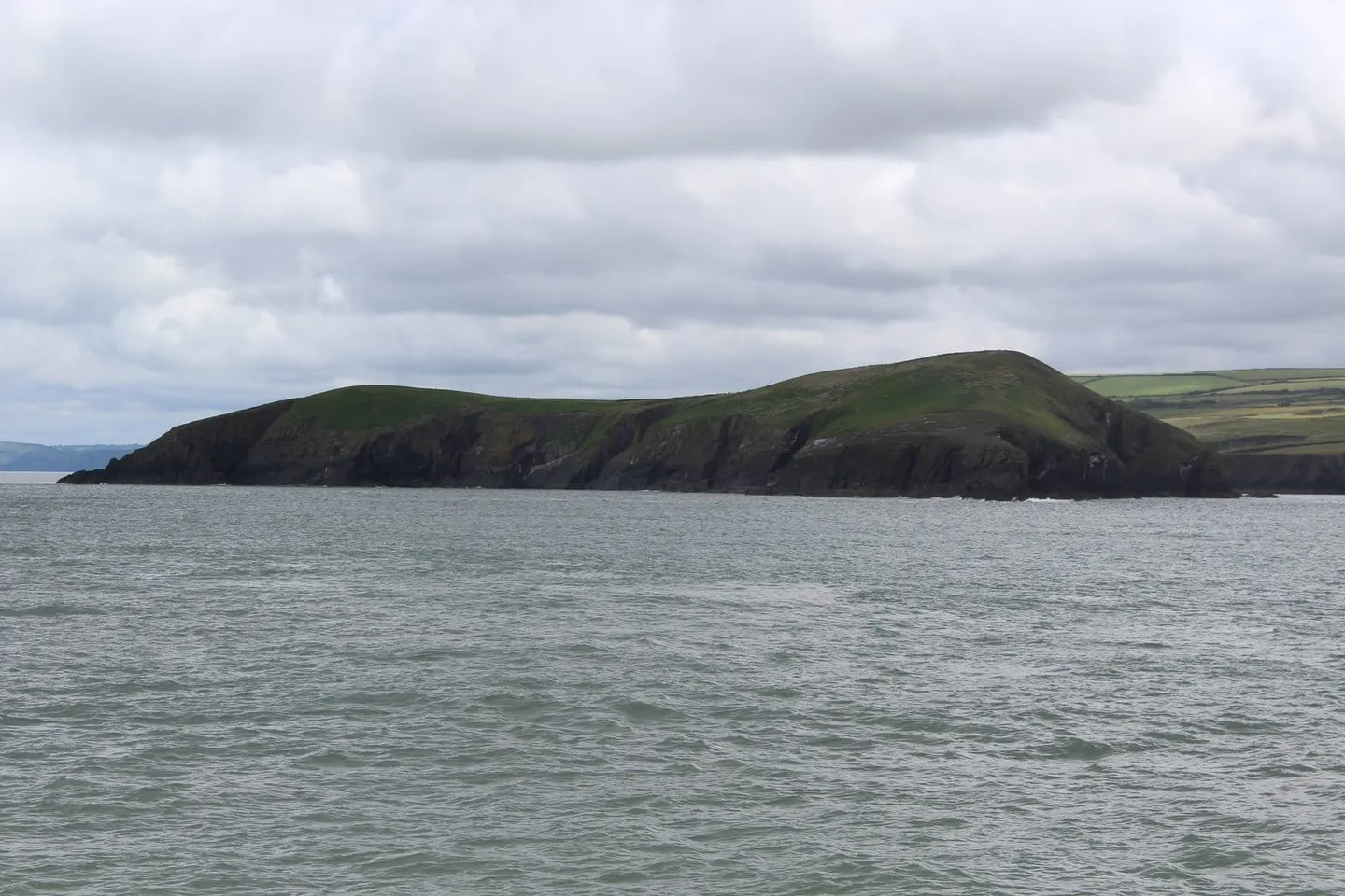 Photo of Cardigan Island, an island in Ceredigion, mid Wales.