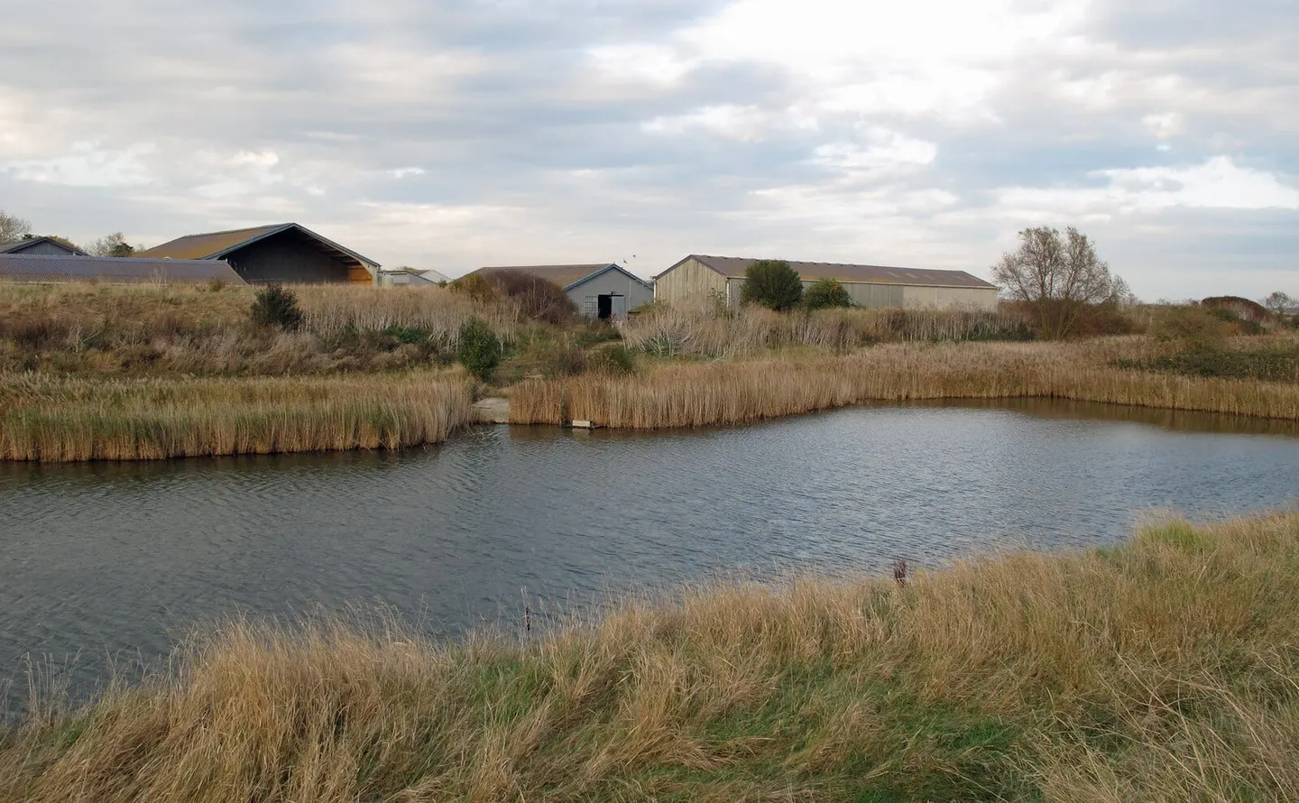 Photo of Marsh Farm Country Park, a country park near Leigh-on-Sea, Essex, eastern England.