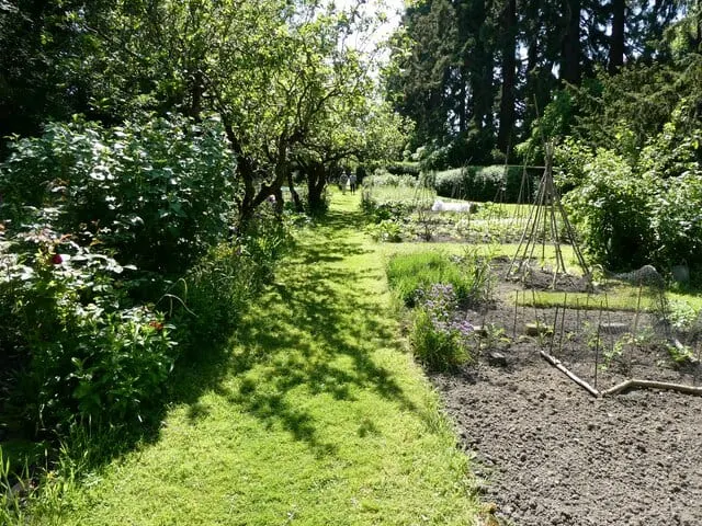 Photo of Sunnycroft, a house & garden near Telford, Shropshire, central England.