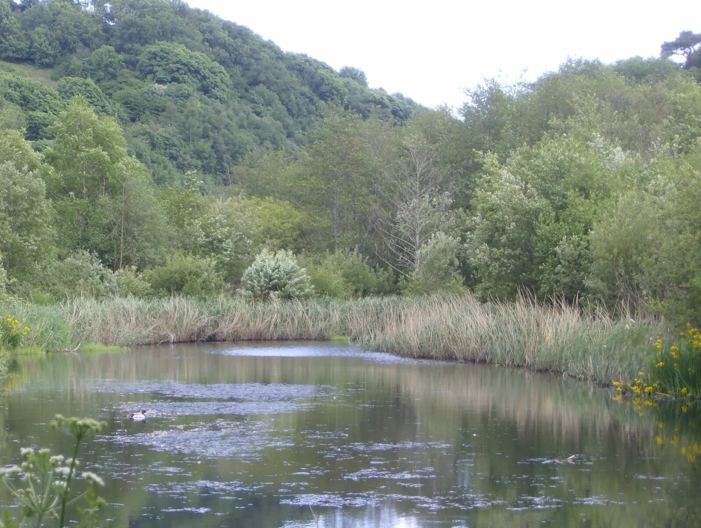 Photo of Seaton Country Park, a country park near Looe, Cornwall, south west England.