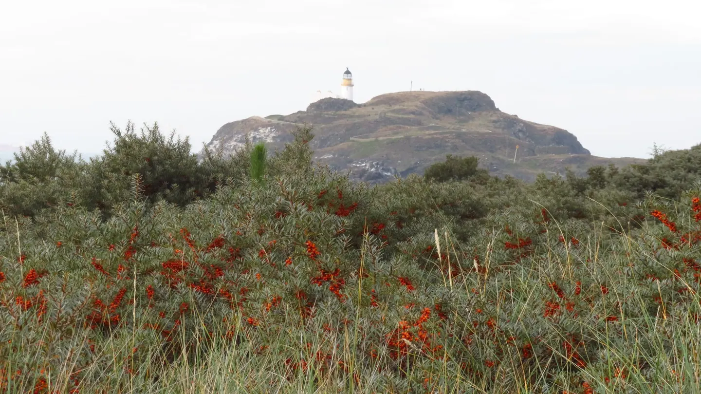 Photo of Fidra Lighthouse, a lighthouse near Dirleton, East Lothian, central Scotland.