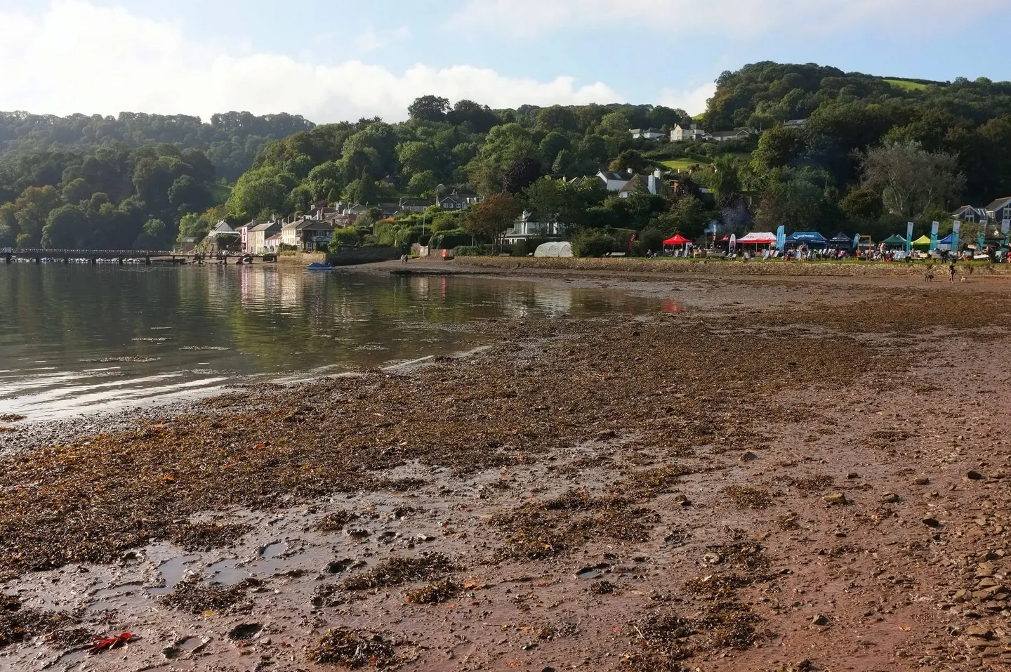 Photo of Dittisham, Dart Estuary, a swimming spot in Devon, south west England.