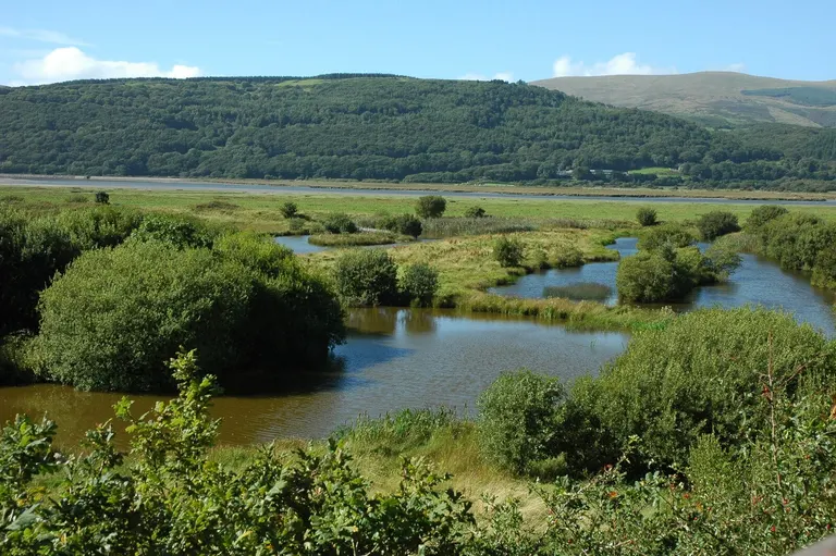 Photo of RSPB Ynys-hir, a nature reserve near Aberdyfi, Ceredigion, mid Wales.