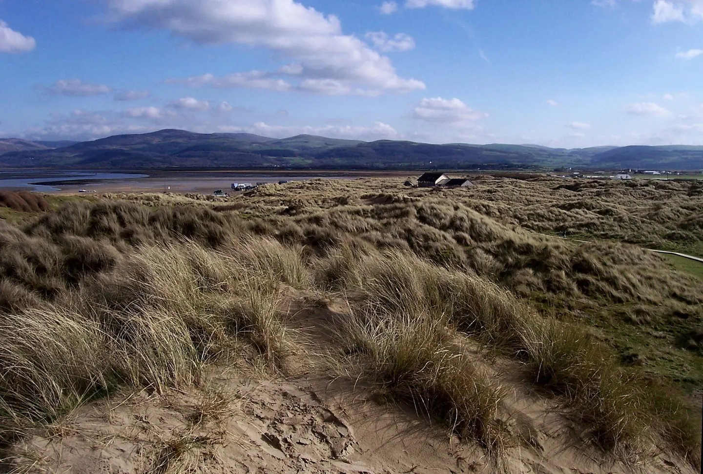 Photo of Ynyslas Dunes, a beach near Aberdyfi, Ceredigion, mid Wales.