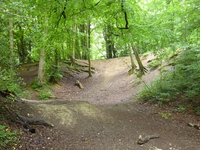 Photo of Hogback Wood, a nature reserve near Beaconsfield in the Chilterns, Buckinghamshire, south east England.