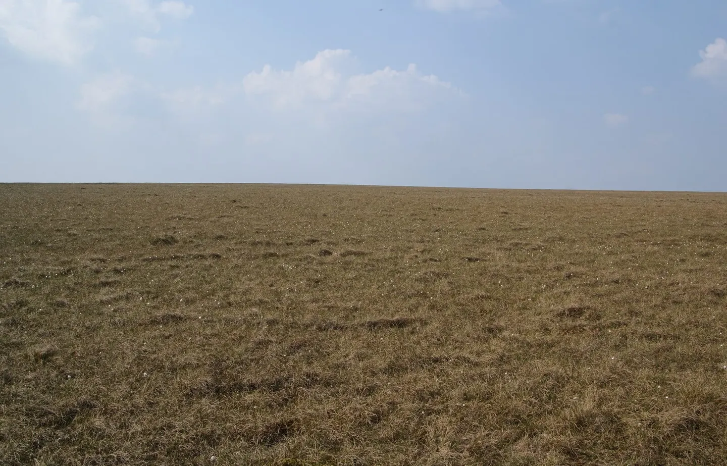 Photo: Scholes Height & Bull Hill, a 415m hill near Turton, Lancashire, north west England.