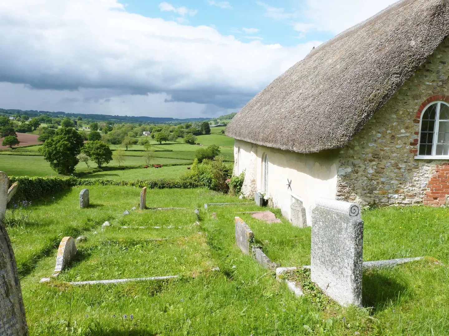 Photo of Loughwood, an ancient site near Beer in the Blackdown Hills, Devon, south west England.
