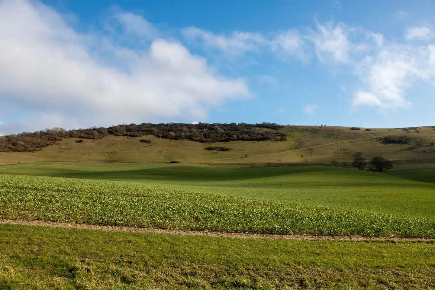 Photo: Wilmington Hill, a 215m hill in the South Downs, East Sussex, south east England.